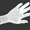 Human Hand and Arm with Open Palm Structure Details Against Dark Background 3d model