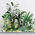 Various Shrubs And Green Foliage In Outdoor Landscape Planter With Different Plant Varieties