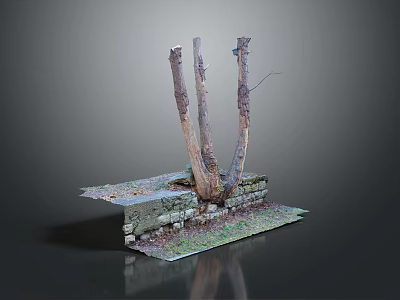 Wooden Tree Trunks And Stone Wall Natural Decorative Display With Grass And Moss 3d model