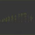 Different Growth Stages of Trees From Saplings to Mature Plants with Varying Heights and Foliage
