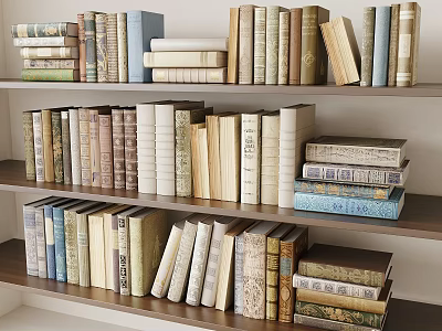 Well Arranged Books And Magazines On Multiple Shelves With Various Colors Sizes And Bindings 3d model