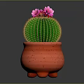 Green Spherical Cactus With Yellow Spines And Pink Flowers In Red Terracotta Legged Pot