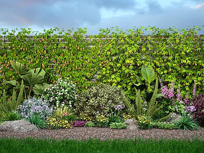 Modern vine plant climbing vine trumpet creeper morning glory creeper rose green plant wall green plant wall 3d model