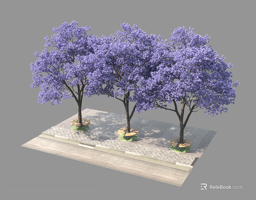 Three Purple Flowering Trees Planted On Stone Paved Platform With Dense Canopies 3d model 