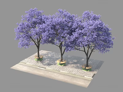 Three Purple Flowering Trees Planted On Stone Paved Platform With Dense Canopies 3d model