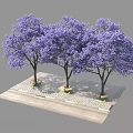 Three Purple Flowering Trees Planted On Stone Paved Platform With Dense Canopies
