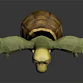 3D Animated Green Turtle Character With Yellow Shell Outstretched Arms And Surprised Expression 3d model