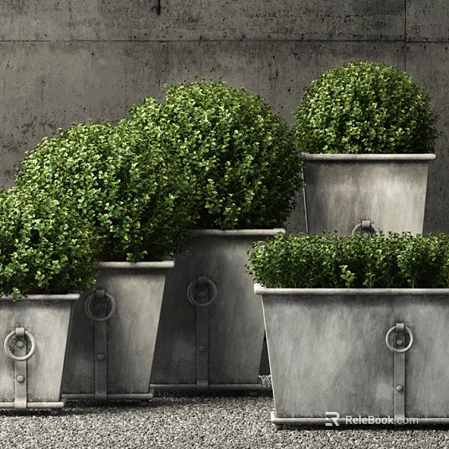 Lush Green Spherical Potted Topiary Plants In Metal Planters Against Gray Wall Backdrop 3d model 