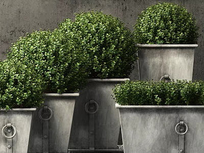potted plant 3d model