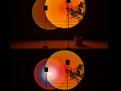 Modern Floor Lamp With Circular Light Projection And Potted Plant In Indoor Space 3d model