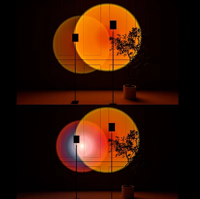 Modern Floor Lamp With Circular Light Projection And Potted Plant In Indoor Space 3d model