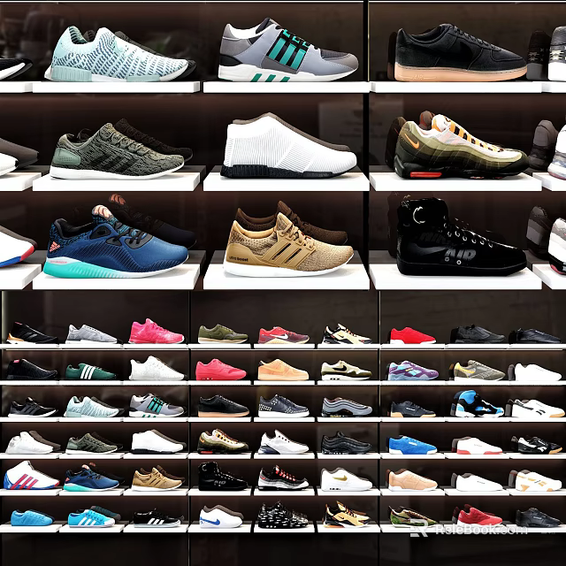 Practical Shoe Cabinet With Multiple Shelves And Neatly Arranged Various Shoes 3d model 