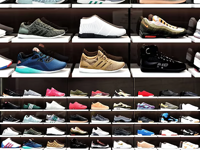 Practical Shoe Cabinet With Multiple Shelves And Neatly Arranged Various Shoes 3d model