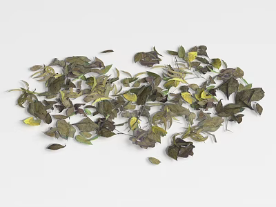 Natural Ground Cover With Green And Yellow Scattered Leaves For Garden 3d model
