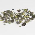Natural Ground Cover With Green And Yellow Scattered Leaves For Garden