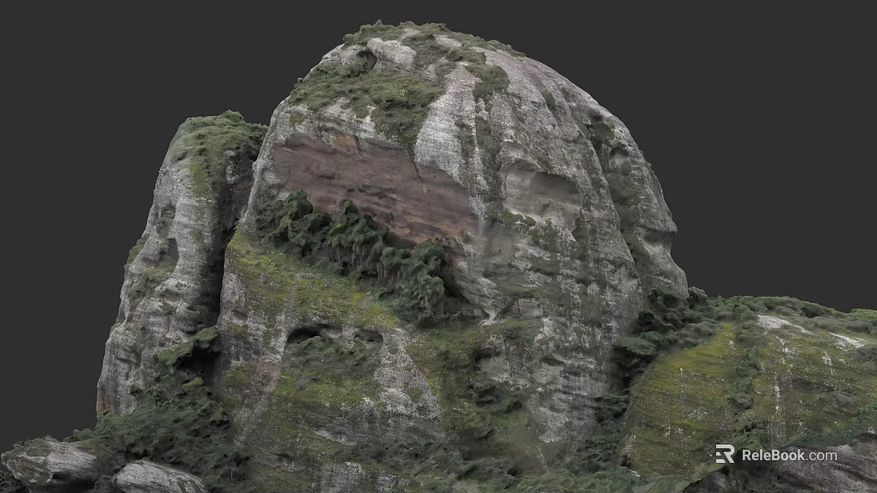 Micro Terrain With Rocky Surface Green Vegetation And Natural Texture 3d model