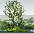 Lush Green Arbor with Ferns Bushes and Blue Flowers in Circular Garden Arrangement