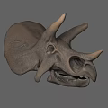 3D Printed Medical Anatomical Model With Detailed Bone Structure For Training