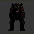 Realistic 3D Brown Bear Model With Detailed Fur Texture And Standing Position 3d model