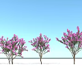 Three Arbor Trees With Purple Flowers Against Blue Sky Background