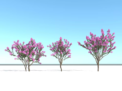 Three Arbor Trees With Purple Flowers Against Blue Sky Background 3d model