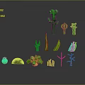 Various Green Plants With Different Shapes Including Cactus and Colorful Yellow Red Accents