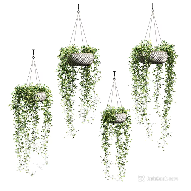Hanging Basket Plants with Lush Trailing Greenery for Indoor Home Decor 3d model 