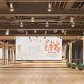 Kids Dance Fitness Studio With Wooden Floor Mirrors Barre And Green Balls