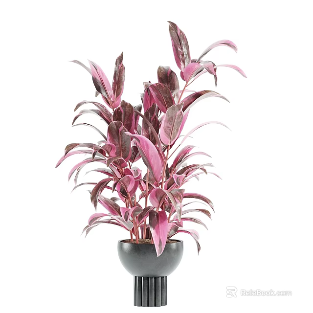Black Vase With Tall Lush Purple And Pink Leafy Plant For Home Decor 3d model 