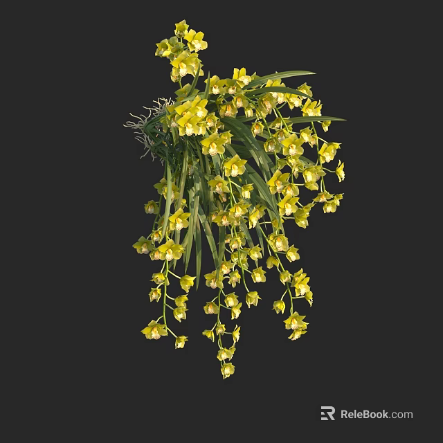 Yellow Hanging Orchid Flowers In Vase With Green Leaves And Blooms 3d model 