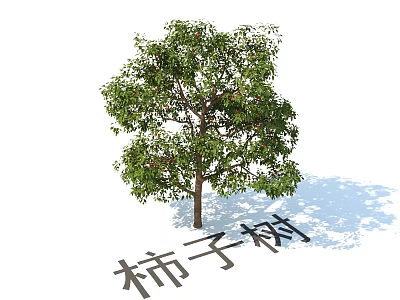 Lush Garden Plant Combination Featuring Persimmon Tree With Green Leaves And Natural Foliage 3d model