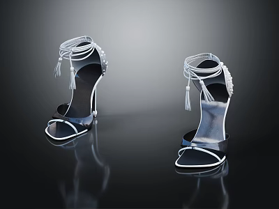 Modern High Heel Shoes With Ankle Lacing Tassel Details And Shiny Black Finish 3d model