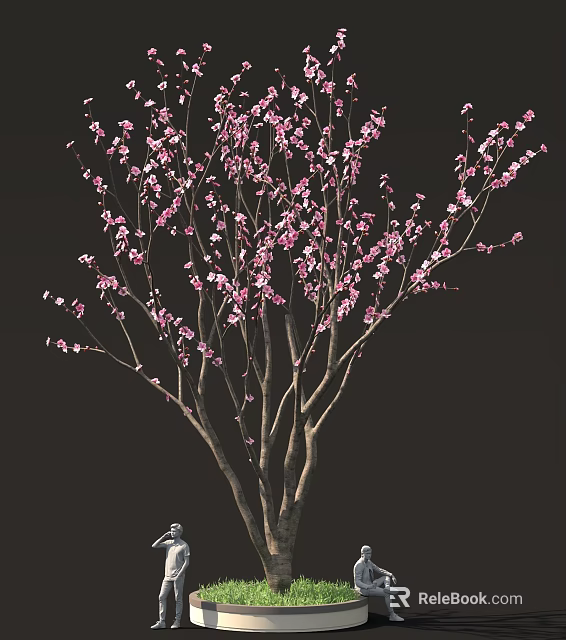 Elegant Pink Blooming Tree With Slender Branches Against Dark Background 3d model