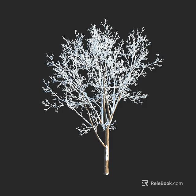 Bare Tree with Detailed Branch Structure Isolated on Black Background 3d model