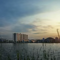Serene Sunset Lakeside Urban Landscape With Calm Water Swaying Reeds And Distant City Buildings