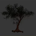Tree With Lush Green Leaves And Exposed Roots Against Gray Background