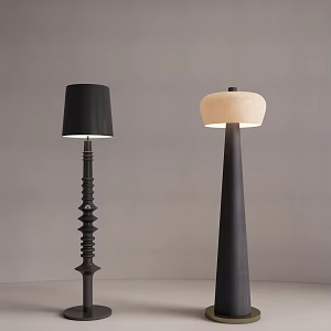 Modern Metal Floor Lamp 3d model
