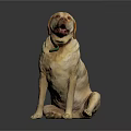 Friendly Yellow Labrador Retriever Sitting Looking Up With Green Collar On Black Background