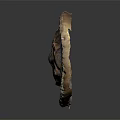 Detailed Trilobite Fossil with Oval Shape and Textured Surface on Dark Background
