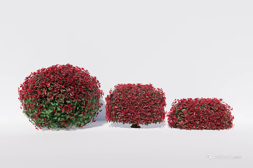 Vibrant Red Leaf Round Shrubs in Various Sizes for Garden Landscaping 3d model 