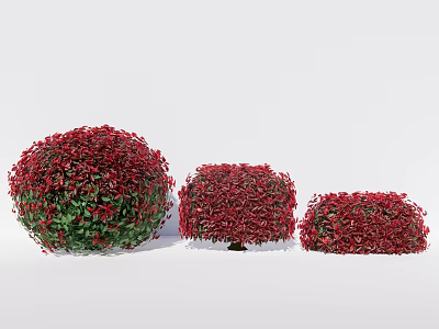 Vibrant Red Leaf Round Shrubs in Various Sizes for Garden Landscaping 3d model