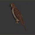 Standing Red and Beige Stuffed Bird with Orange Claws and Feathers