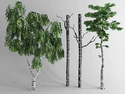 Different Types of Arbor Trees Featuring Trunks Branches and Green Foliage 3d model