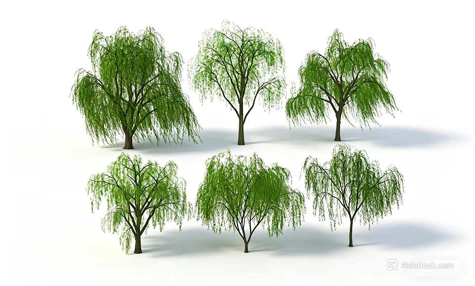Six Willow Trees with Drooping Branches Lush Green Foliage Natural Growth 3d model 