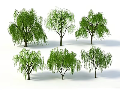 Six Willow Trees with Drooping Branches Lush Green Foliage Natural Growth 3d model