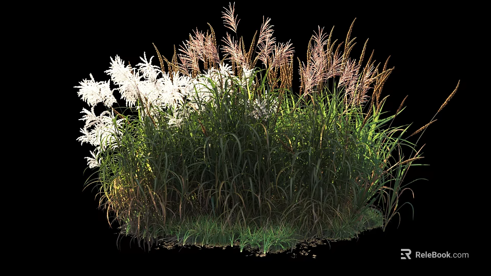 Ornamental Shrubs with White Flowers and Green Leaves for Garden Landscaping 3d model 