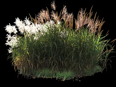 Ornamental Shrubs with White Flowers and Green Leaves for Garden Landscaping 3d model