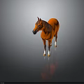 Orange Horse With Brown Mane And White Hooves Standing On Dark Surface