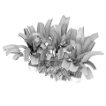 Lush Green Tropical Plants with Broad Leaves in Modern Gray Planters for Home Indoor Decor