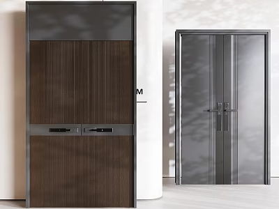 Modern Double Doors Design With Wooden Vertical Stripes And Metal Glass Panels 3d model
